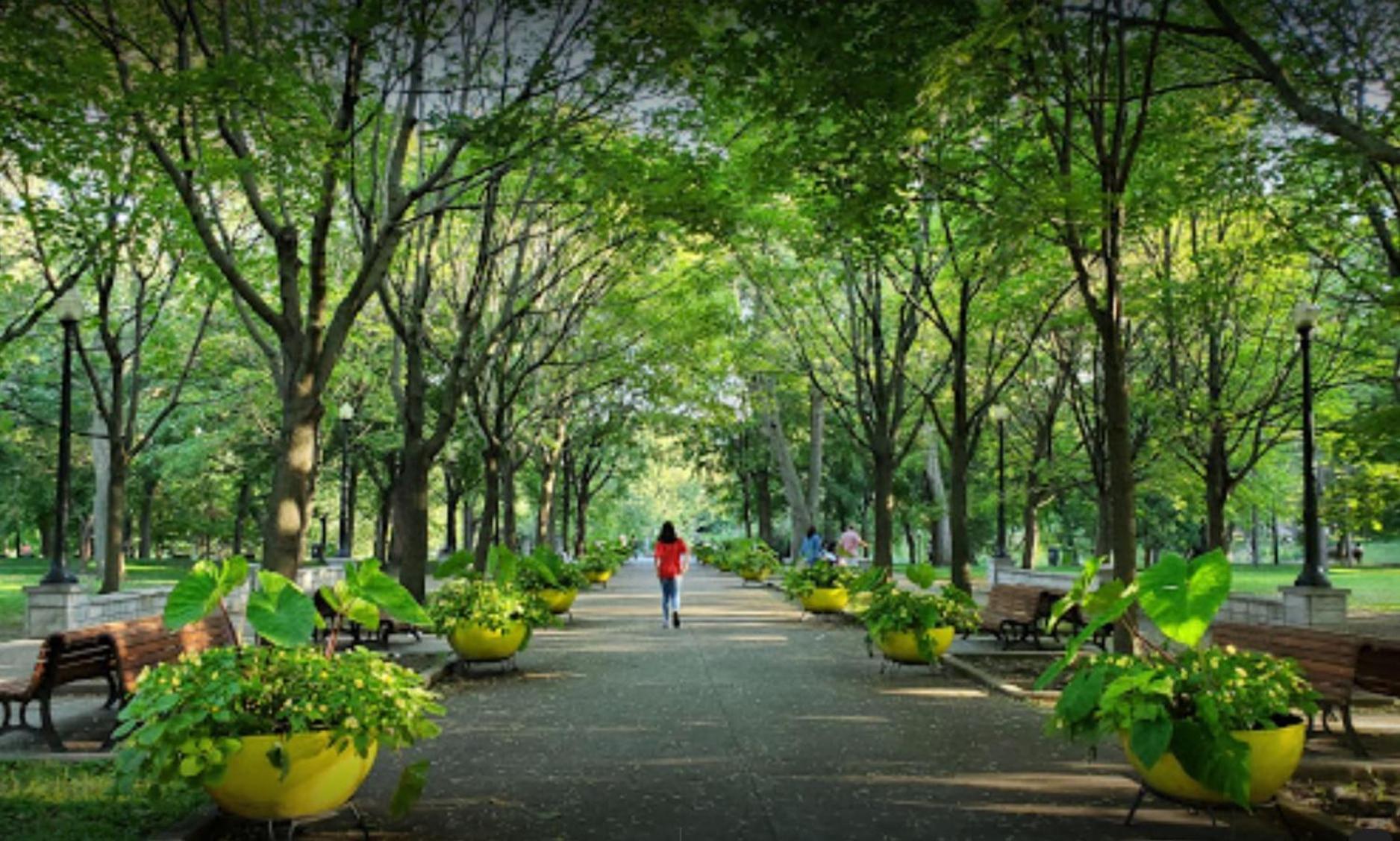Chez Mont Royal Apartments! มอนทรีอัล ภายนอก รูปภาพ